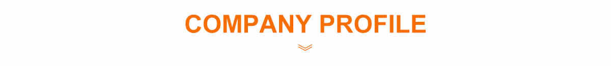 Pain relief patch OEM & ODM