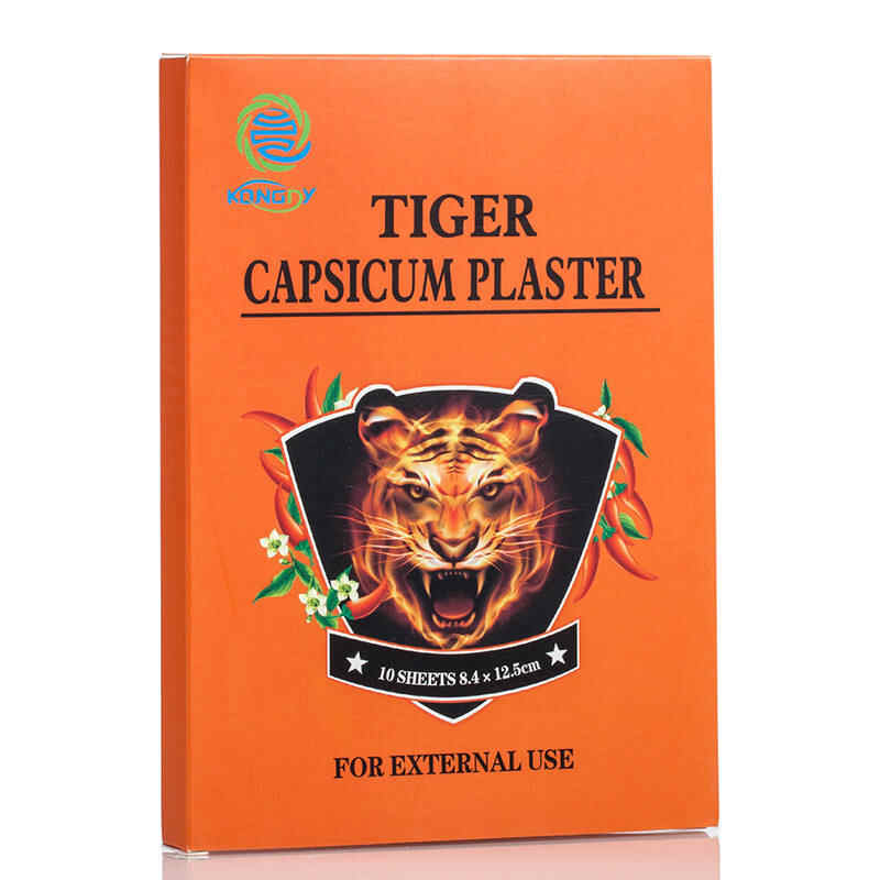 Kongdy|Traditional Uses of Capsicum Plasters Across Cultures